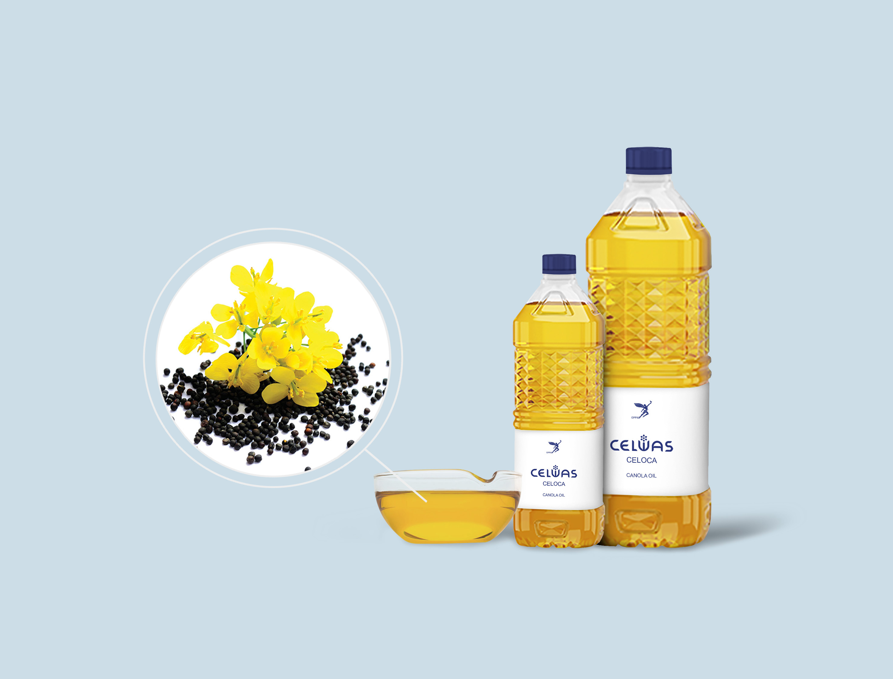 CELOCA<br />canola oil