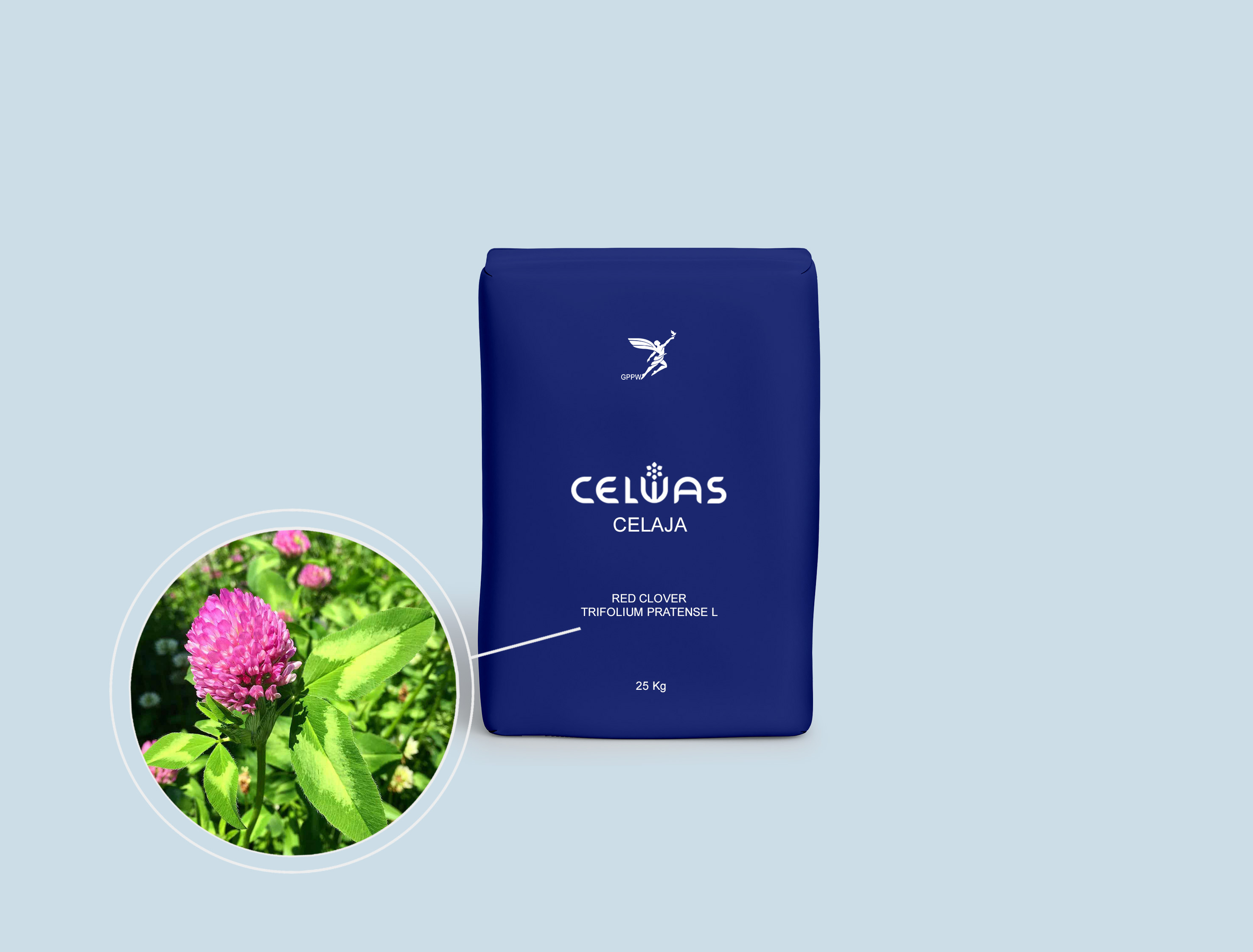 CELAJA<br />fodder grasses and legumes