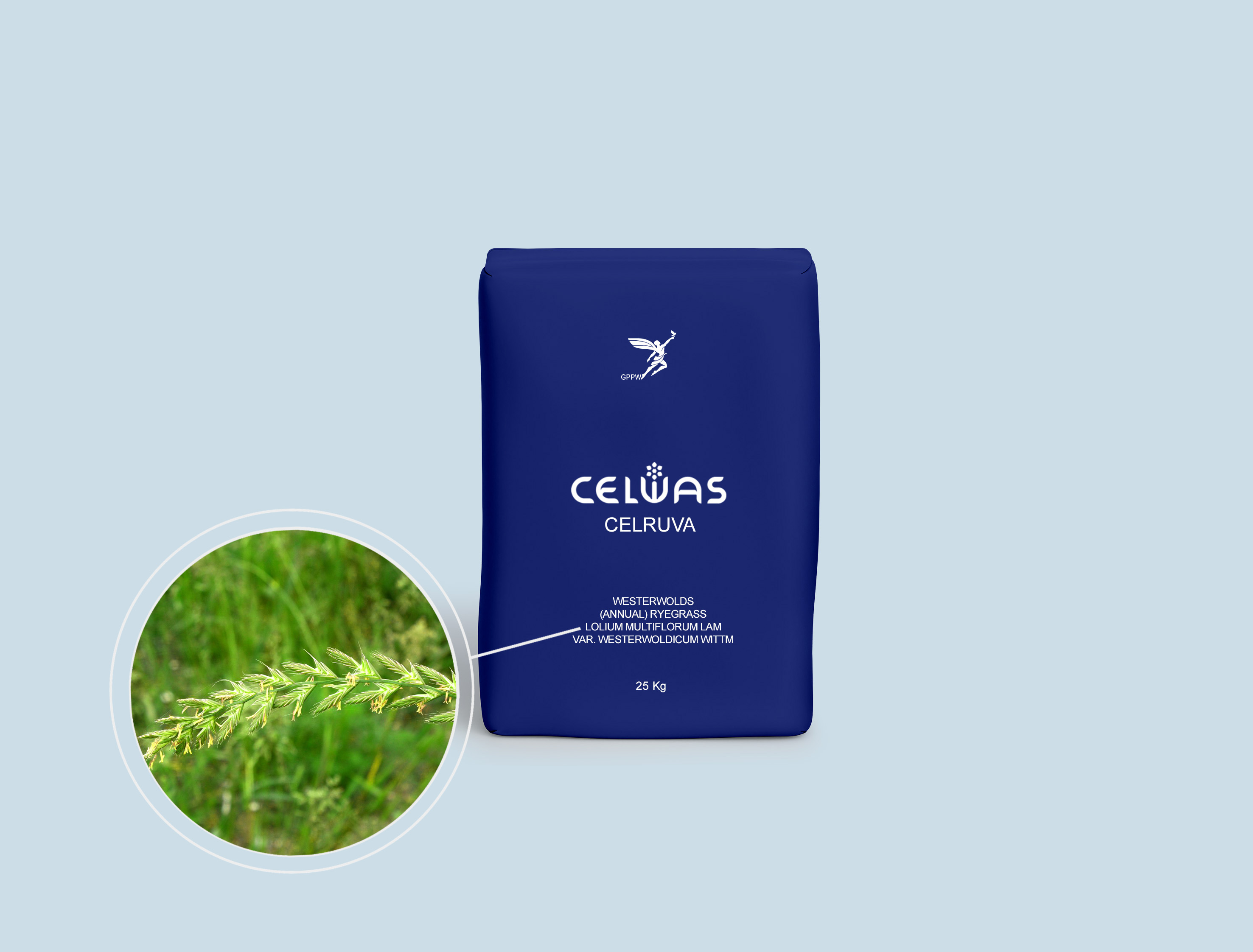 CELRUVA<br />fodder grasses and legumes