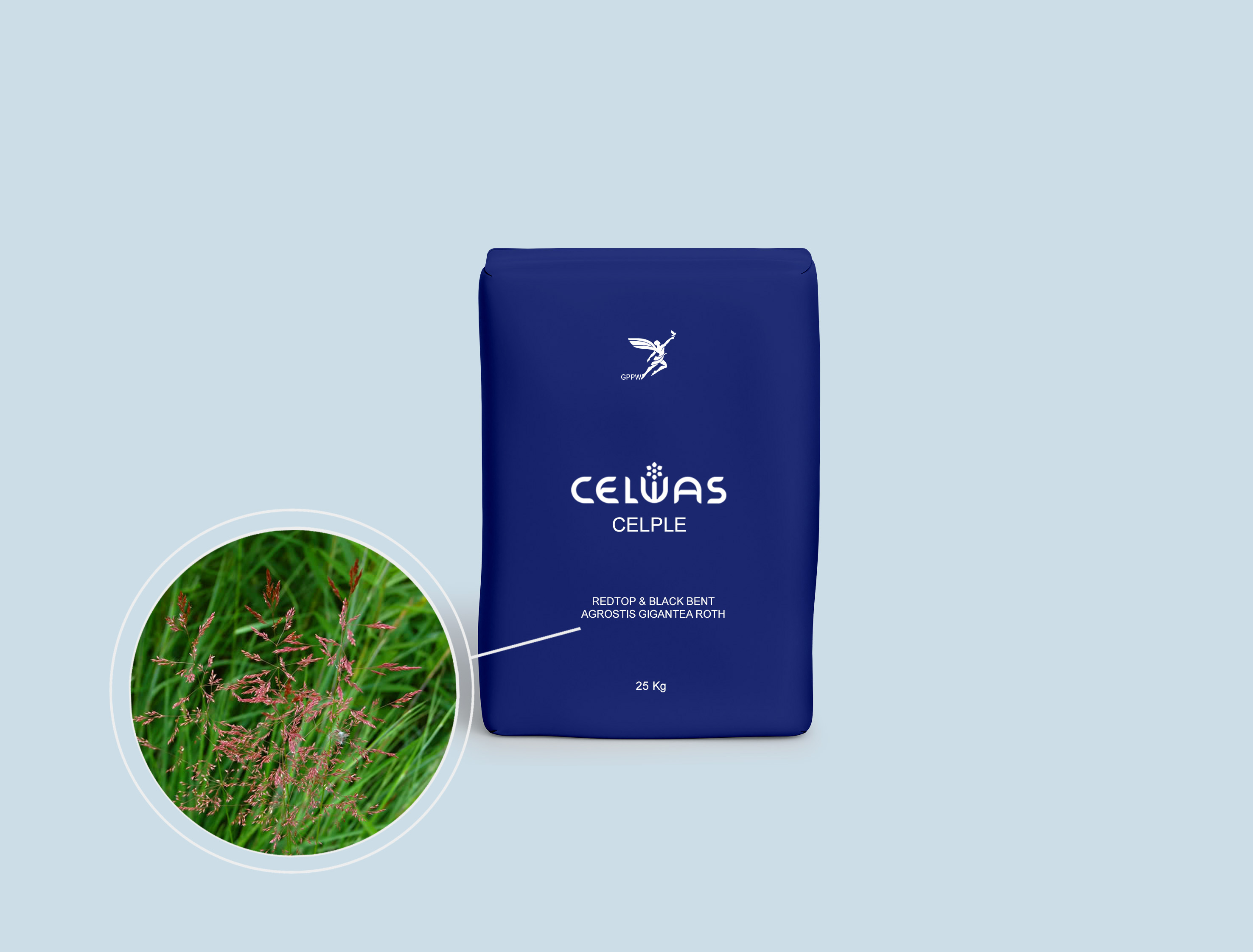 CELPLE<br />fodder grasses and legumes