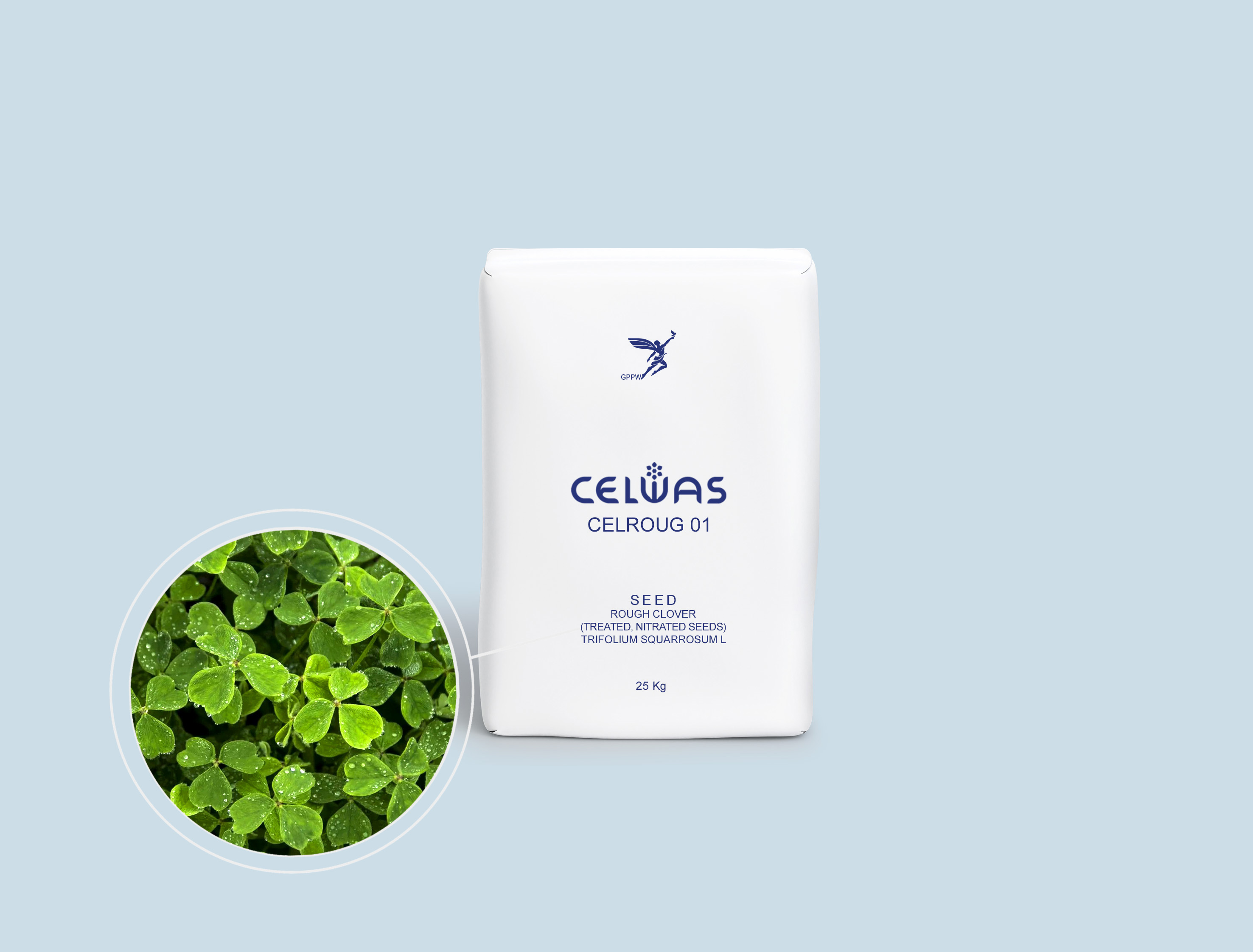 CELROUG 01<br />fodder plants