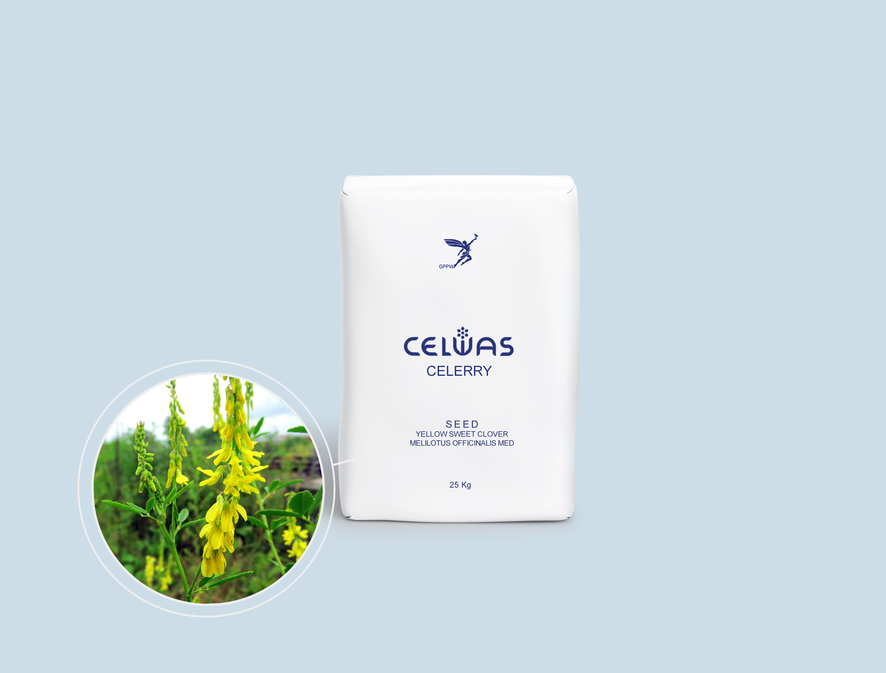 CELERRY<br />oil, seasoning plants