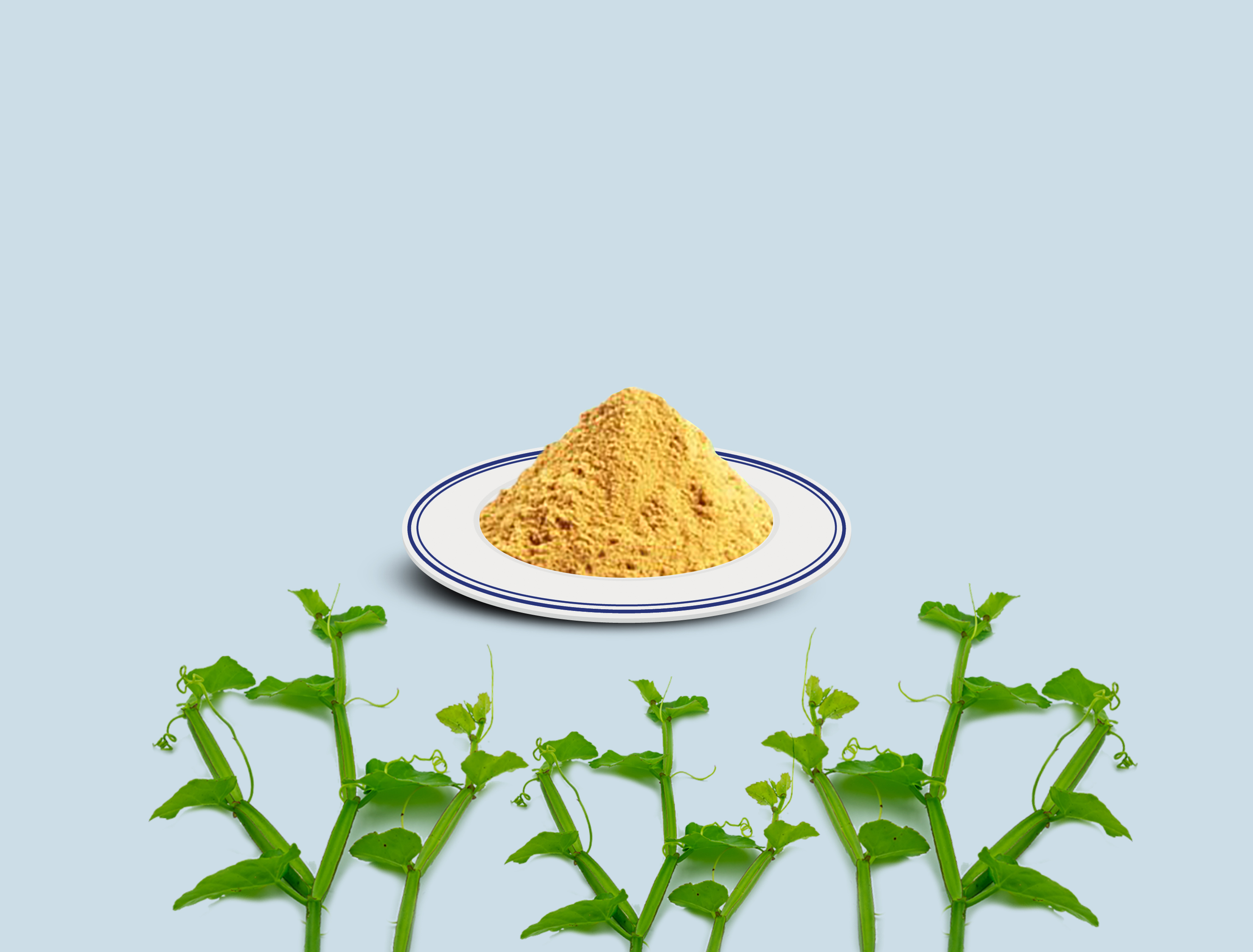 B-Cissus Quadrangularis Extract