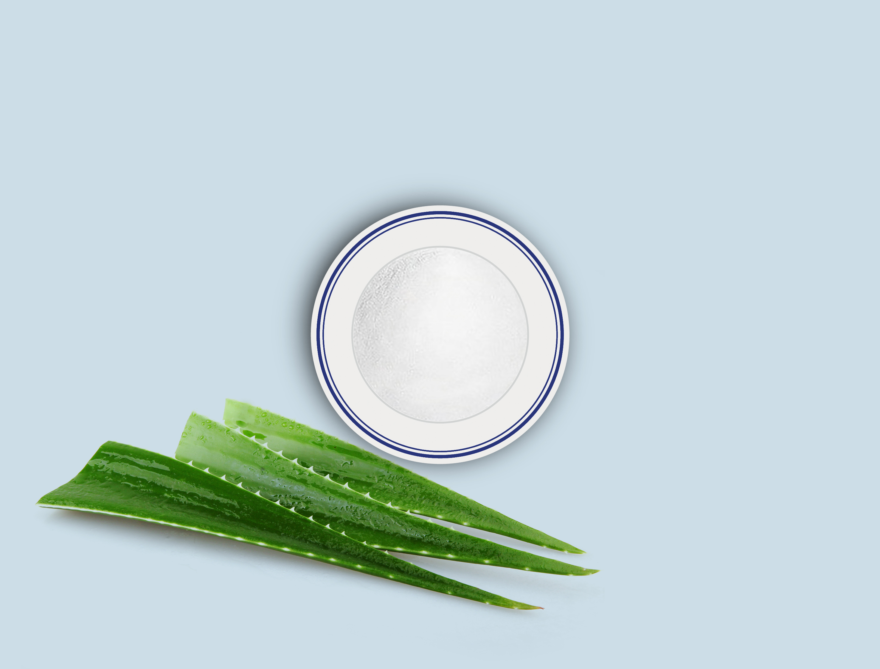 B-Aloe Vera Extract