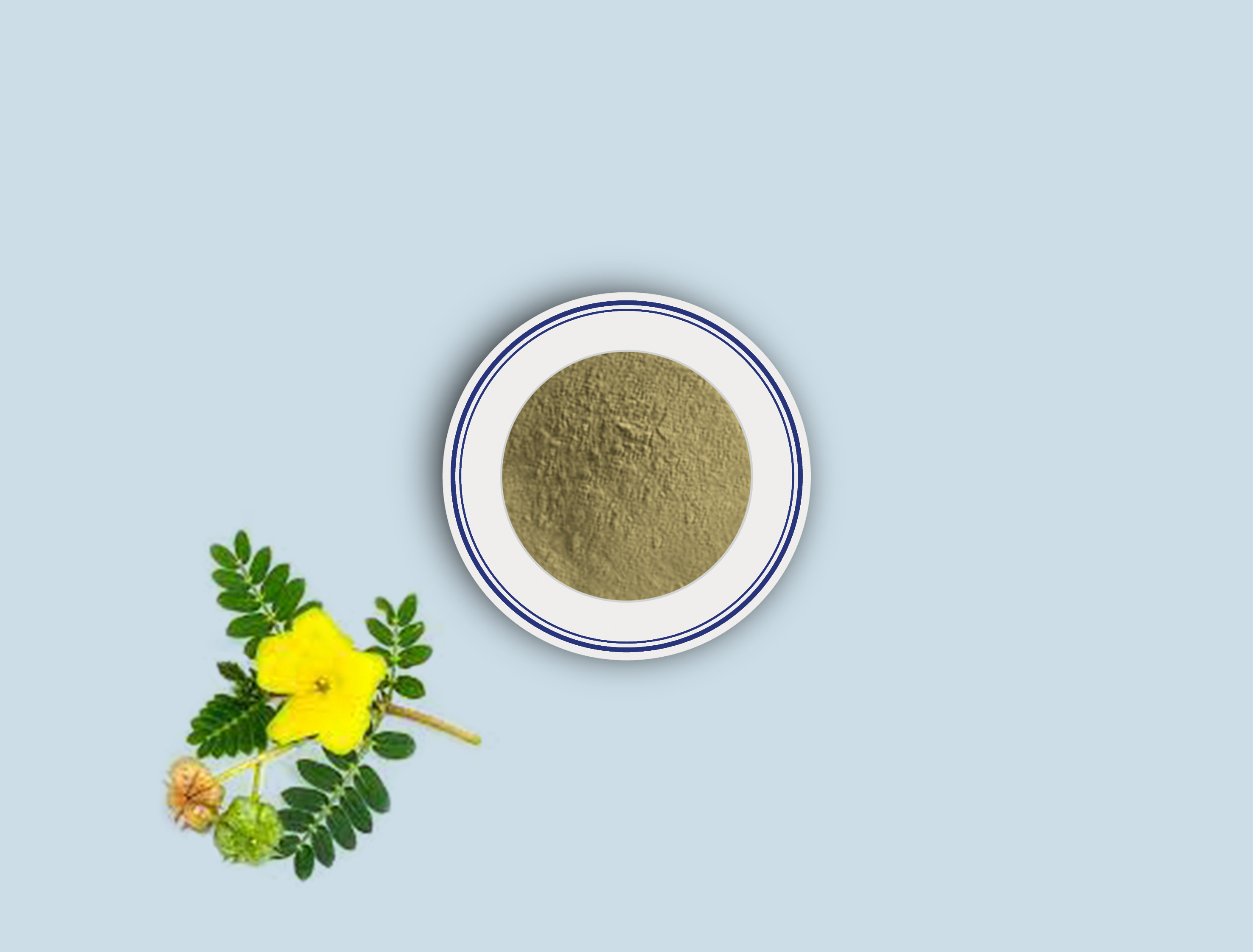 B-Tribulus Terrestris Extract