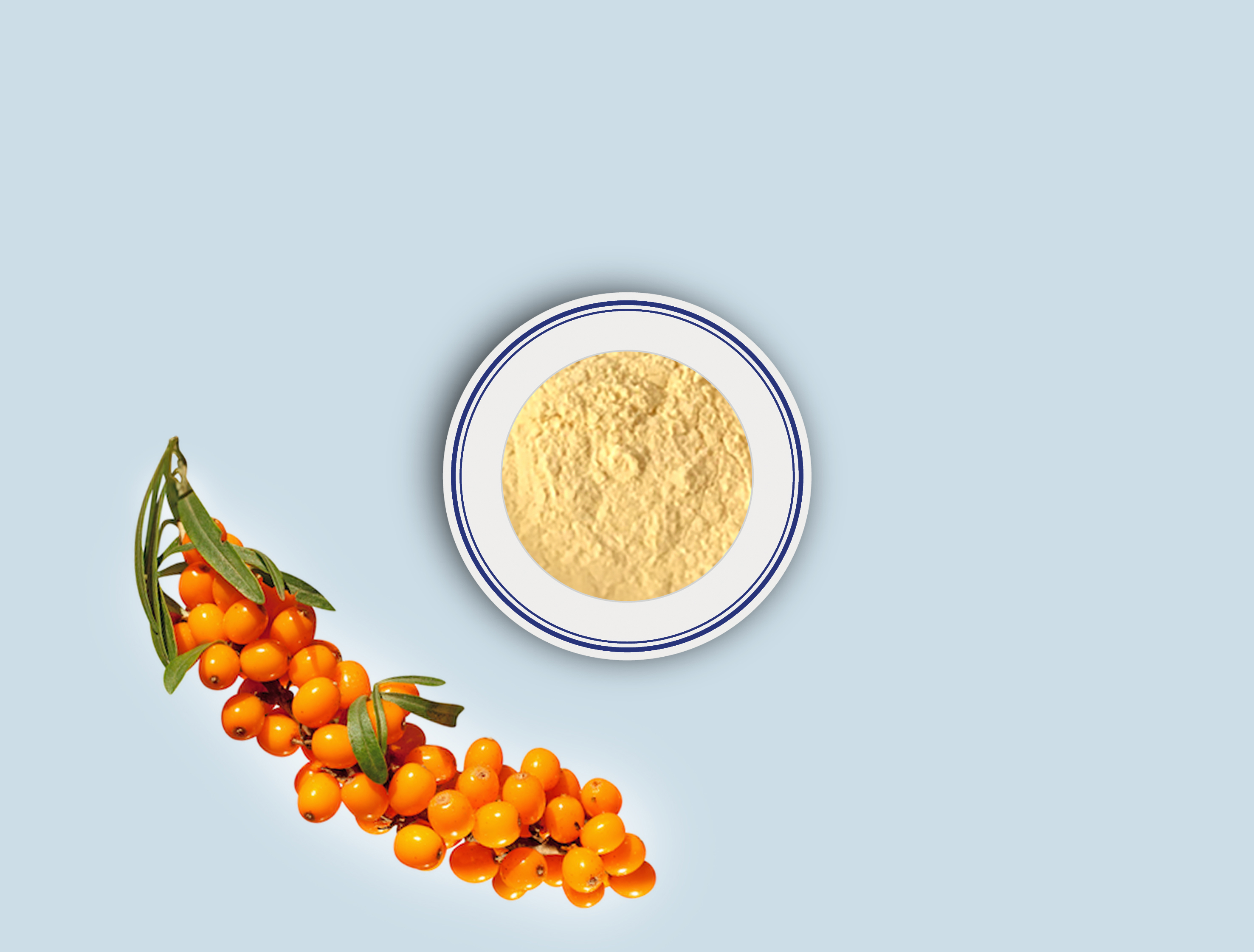 C-Seabuckthorn Powder