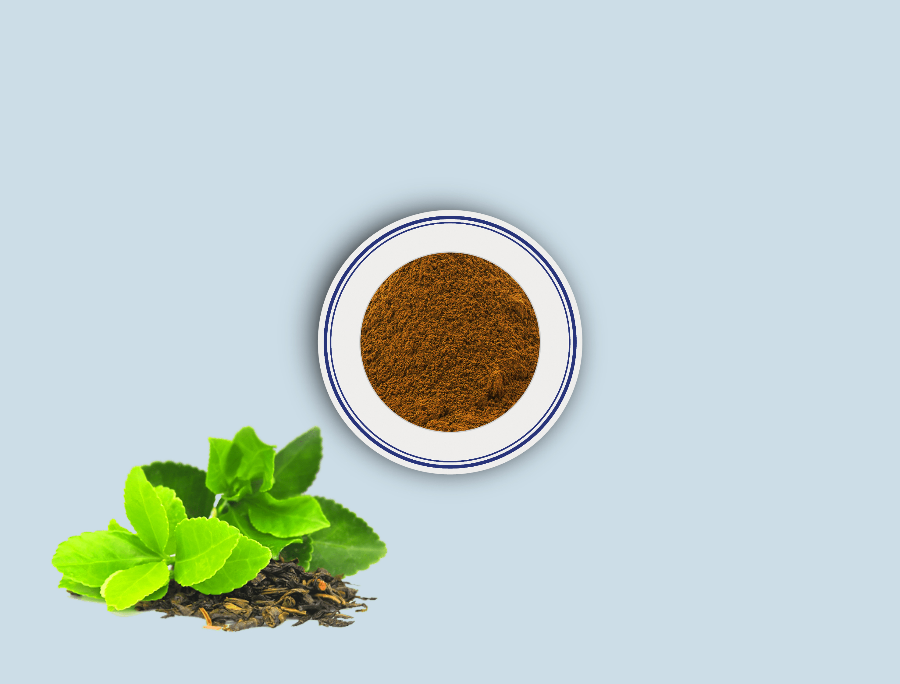 C-Puer Tea Extract Powder